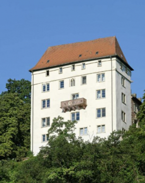 Schloß Neuburg